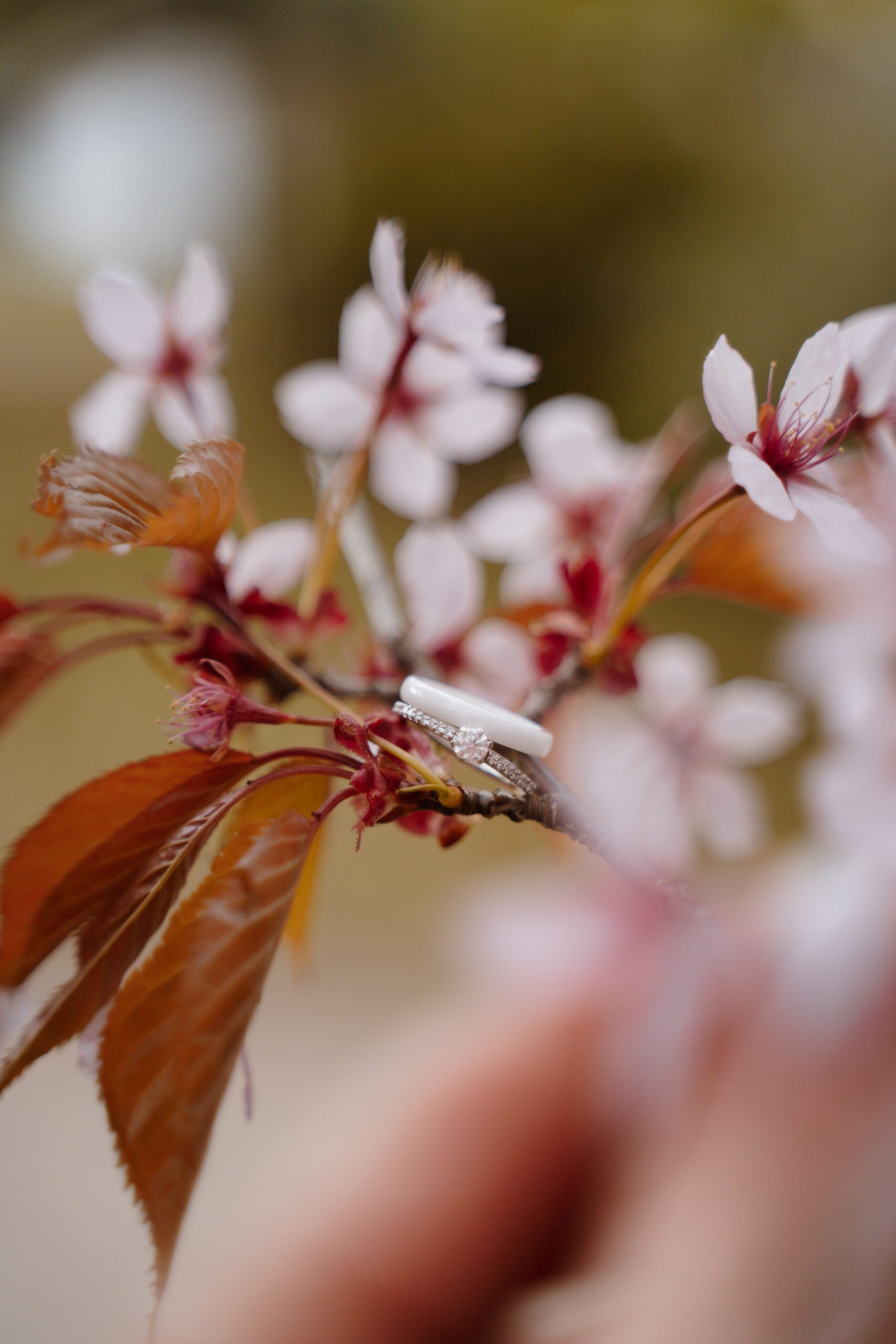 Tootefoto teenus Tallinnas