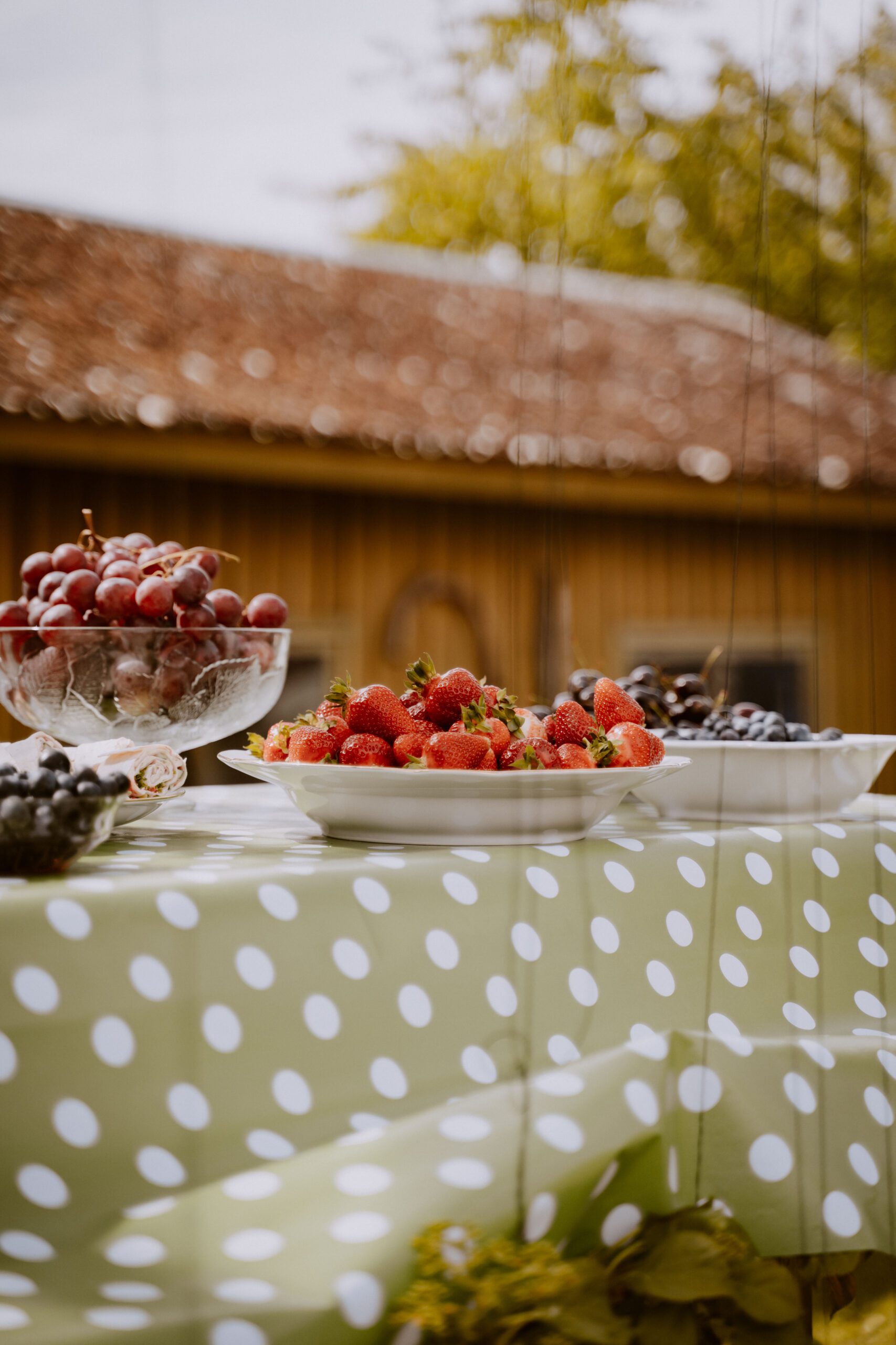 Laste sünnipäeva fotograaf tallinnas