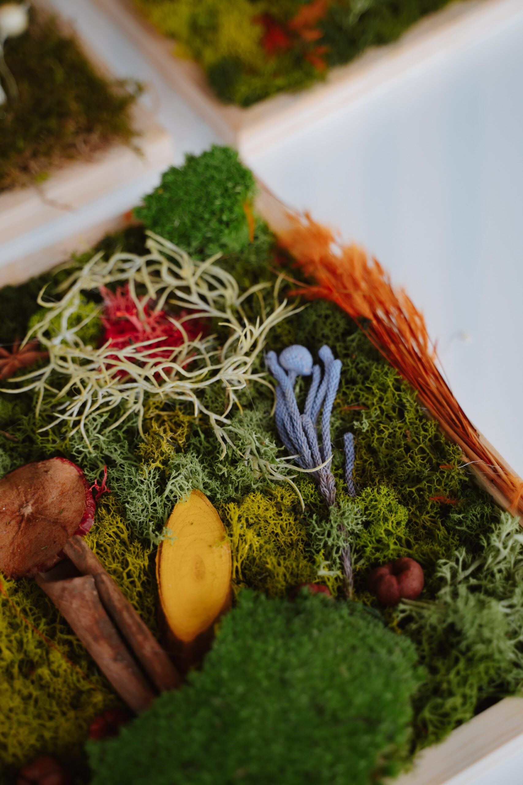 ürituste fotograaf, fotograaf Tallinnas, sünnipäev, pidu, laste sünnipäev,