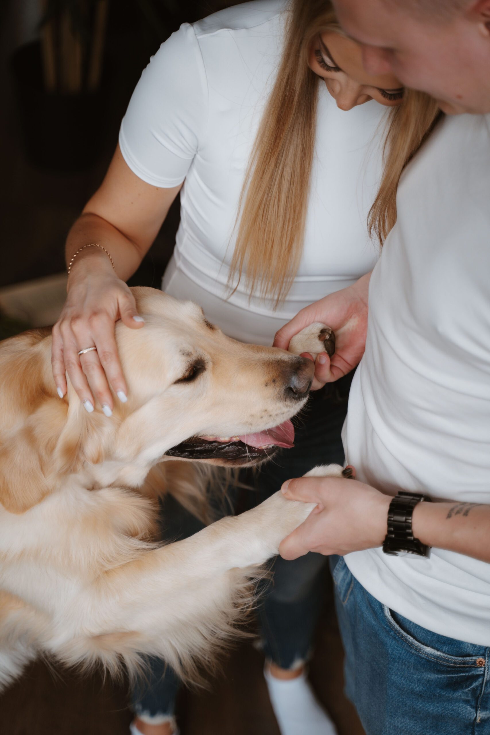 sessioon koos koeraga