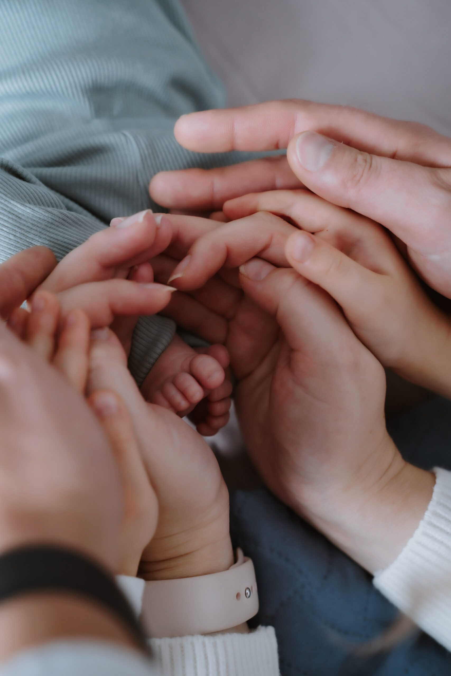 Peresessioonid Tallinnas, Fotograaf Tallinnas ja harjumaal